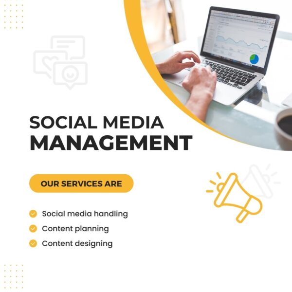 Social Media Management - Standard